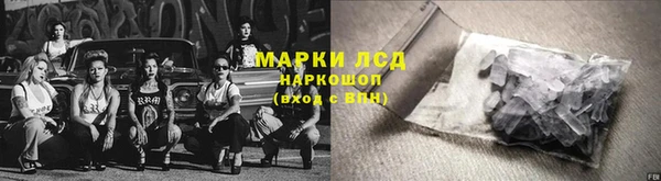 PSILOCYBIN Белокуриха