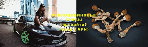 спиды Богородицк