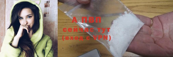 PSILOCYBIN Белокуриха