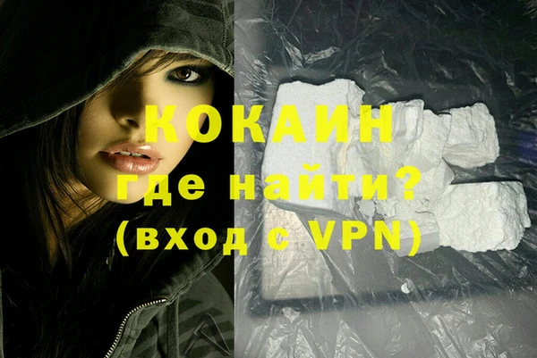 PSILOCYBIN Белокуриха