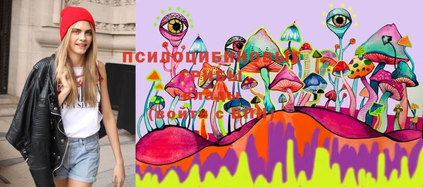 PSILOCYBIN Белокуриха