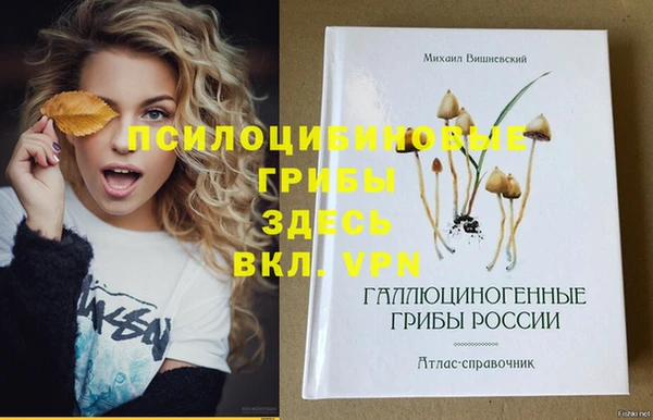 PSILOCYBIN Белокуриха