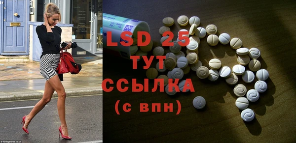 PSILOCYBIN Белокуриха