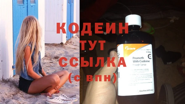 спиды Богородицк
