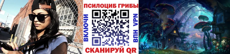 Псилоцибиновые грибы Psilocybine cubensis  Кемерово 
